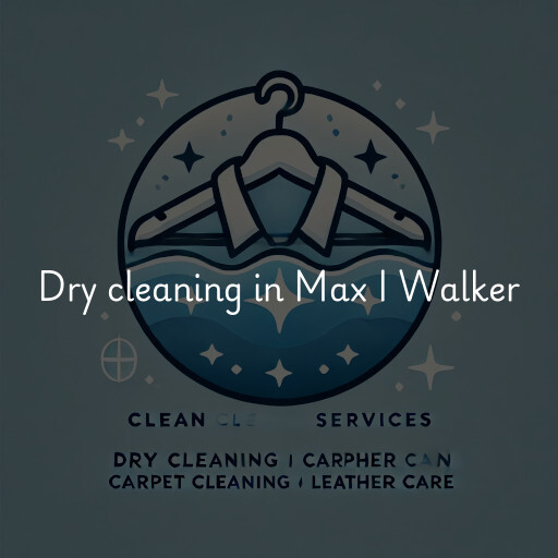 Dry cleaning services Max I Walker