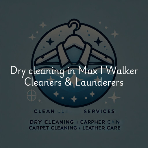 Dry cleaning services Max I Walker Cleaners & Launderers