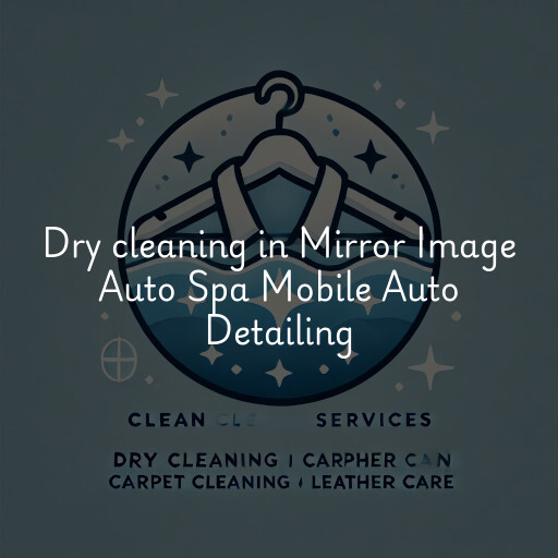 Dry cleaning services Mirror Image Auto Spa Mobile Auto Detailing