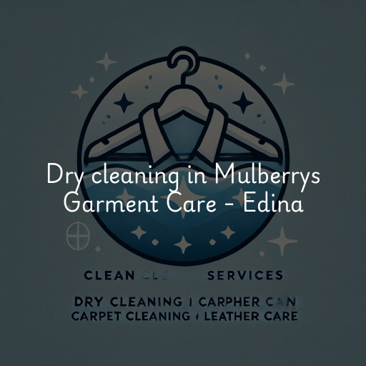 Dry cleaning services Mulberrys Garment Care - Edina