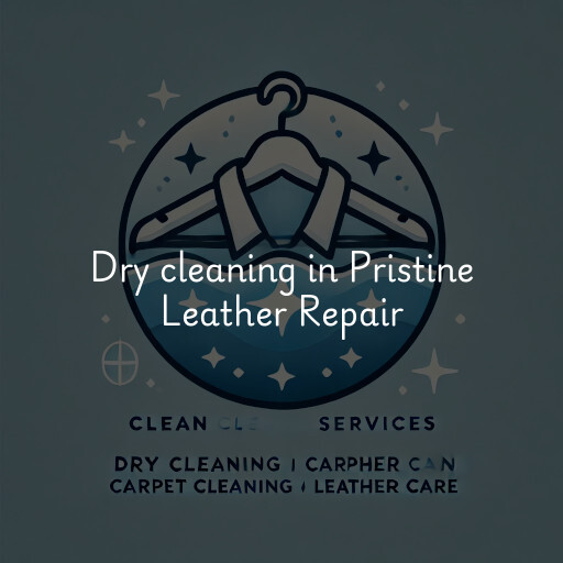 Dry cleaning services Pristine Leather Repair