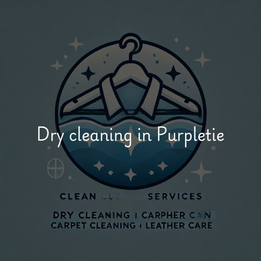 Dry cleaning services Purpletie