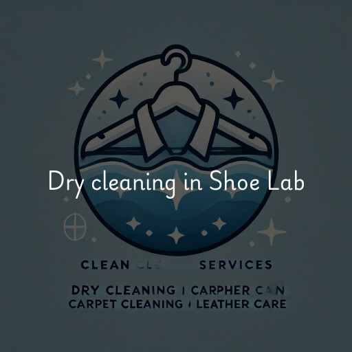 Dry cleaning services Shoe Lab