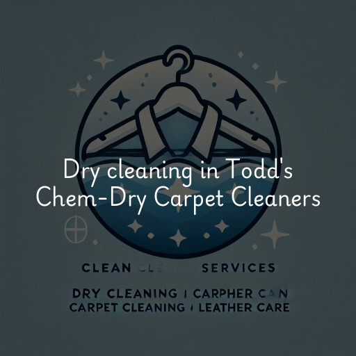 Dry cleaning services Todd's Chem-Dry Carpet Cleaners