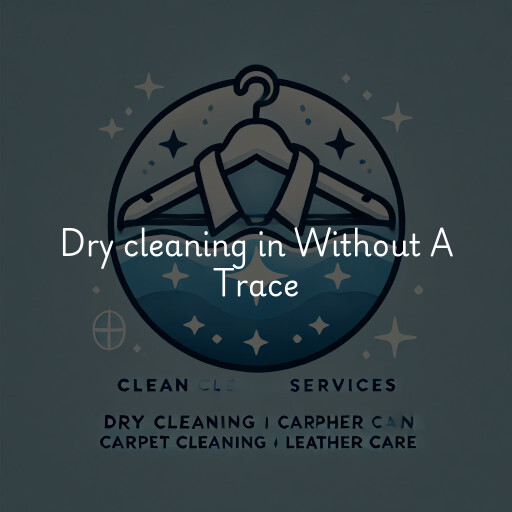 Dry cleaning services Without A Trace