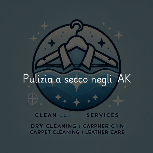 Servizi di pulizia a secco negli Stati Uniti AK