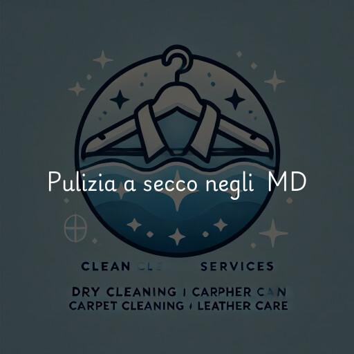 Servizi di pulizia a secco negli Stati Uniti MD