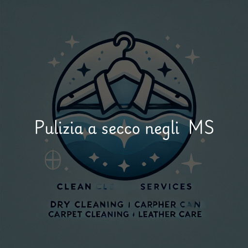 Servizi di pulizia a secco negli Stati Uniti MS