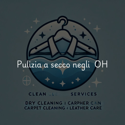 Servizi di pulizia a secco negli Stati Uniti OH