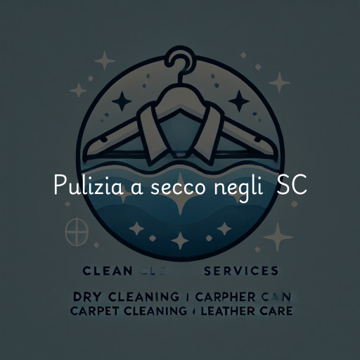 Servizi di pulizia a secco negli Stati Uniti SC