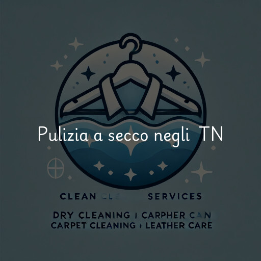 Servizi di pulizia a secco negli Stati Uniti TN