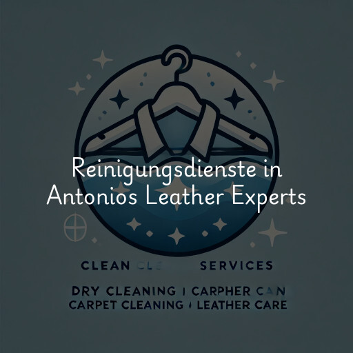 Reinigungsdienste in Antonios Leather Experts