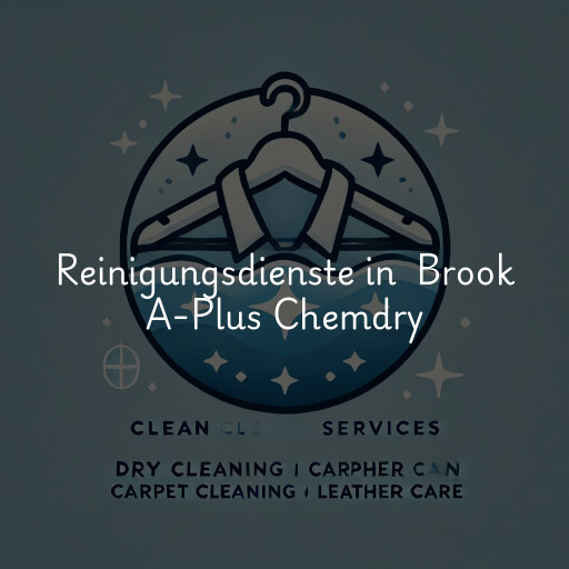 Reinigungsdienste in Brook A-Plus Chemdry