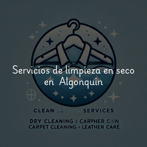 Servicios de limpieza en seco en Algonquin