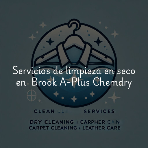 Servicios de limpieza en seco en Brook A-Plus Chemdry