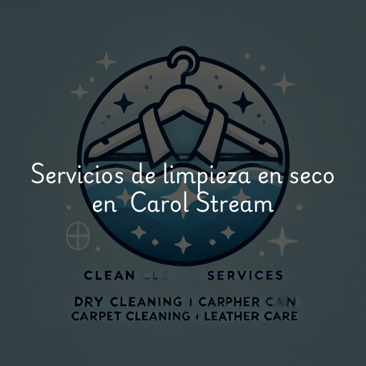 Servicios de limpieza en seco en Carol Stream