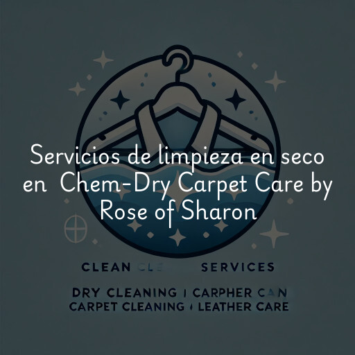 Servicios de limpieza en seco en Chem-Dry Carpet Care by Rose of Sharon