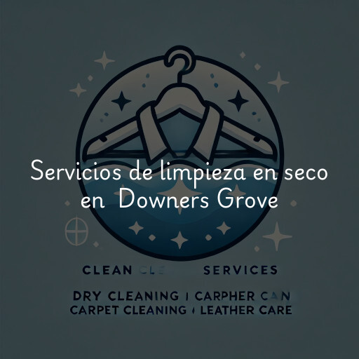 Servicios de limpieza en seco en Downers Grove