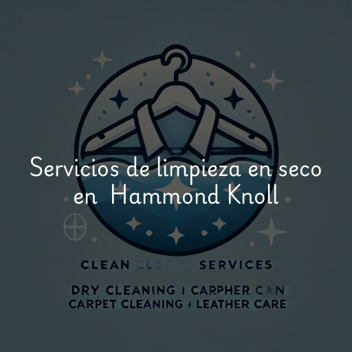 Servicios de limpieza en seco en Hammond Knoll