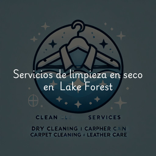 Servicios de limpieza en seco en Lake Forest