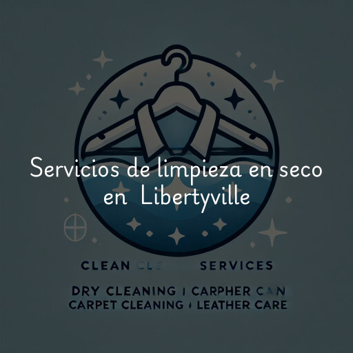 Servicios de limpieza en seco en Libertyville