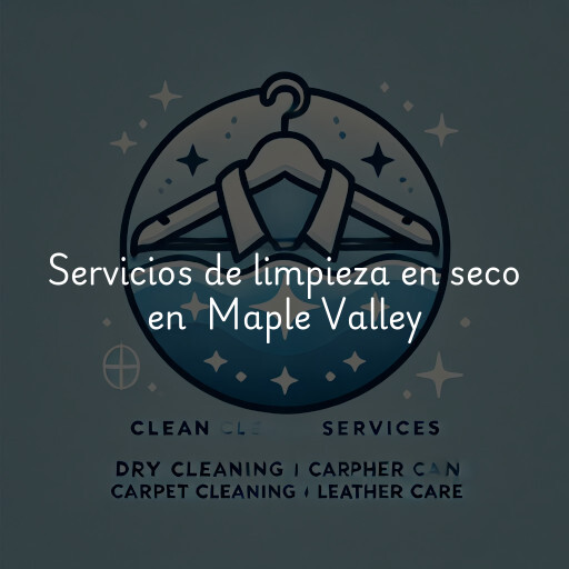 Servicios de limpieza en seco en Maple Valley