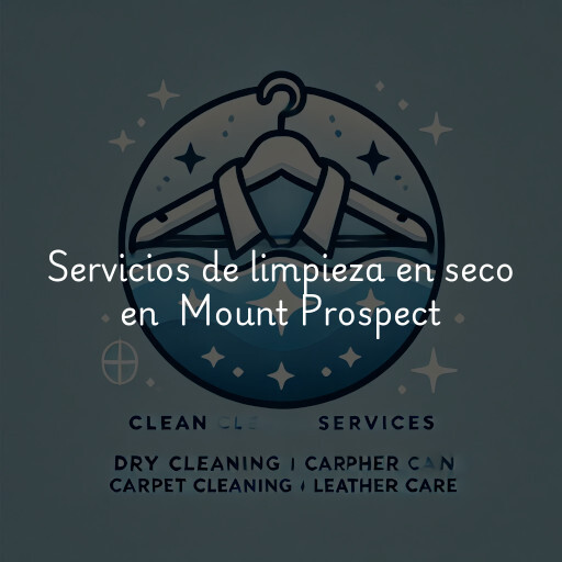 Servicios de limpieza en seco en Mount Prospect