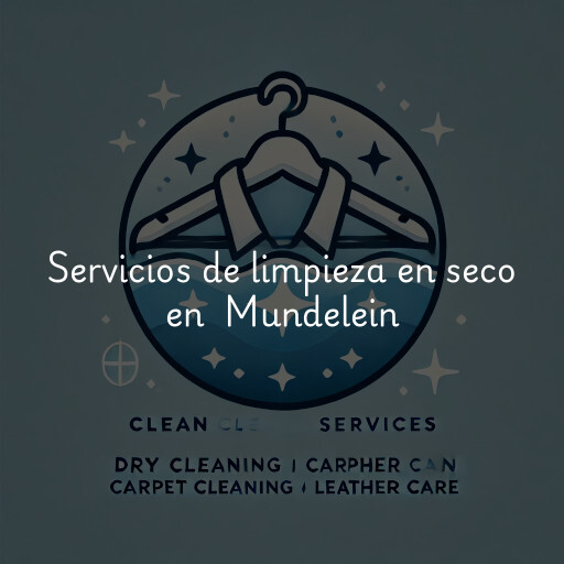 Servicios de limpieza en seco en Mundelein