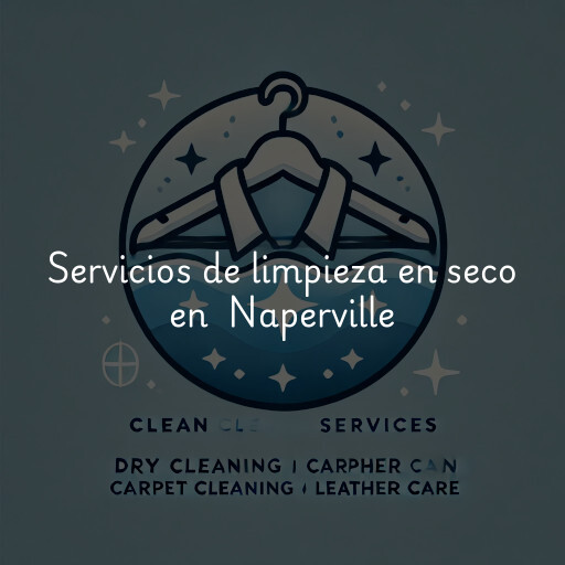 Servicios de limpieza en seco en Naperville