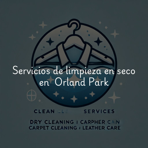 Servicios de limpieza en seco en Orland Park