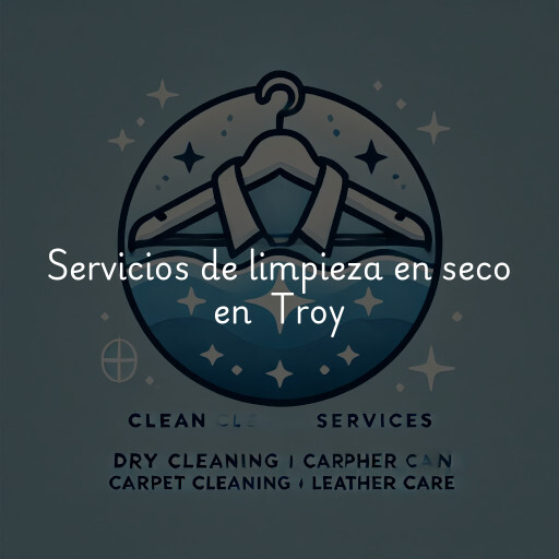 Servicios de limpieza en seco en Troy