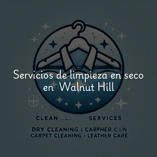 Servicios de limpieza en seco en Walnut Hill