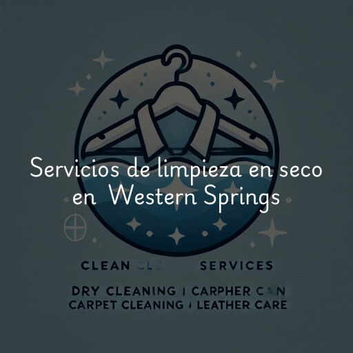 Servicios de limpieza en seco en Western Springs