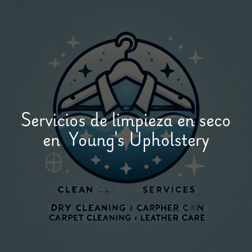 Servicios de limpieza en seco en Young's Upholstery