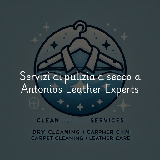 Servizi di pulizia a secco a Antonios Leather Experts