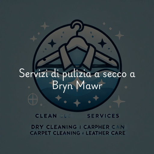 Servizi di pulizia a secco a Bryn Mawr