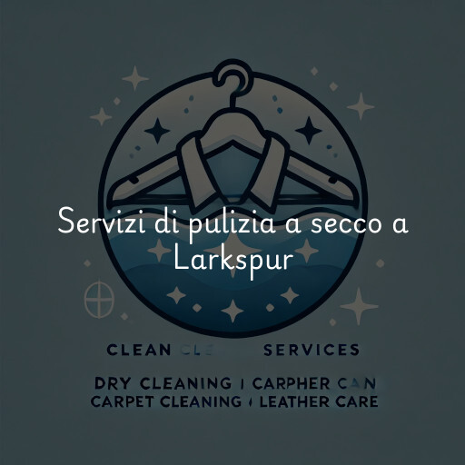 Servizi di pulizia a secco a Larkspur