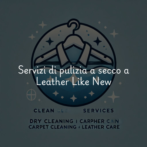 Servizi di pulizia a secco a Leather Like New