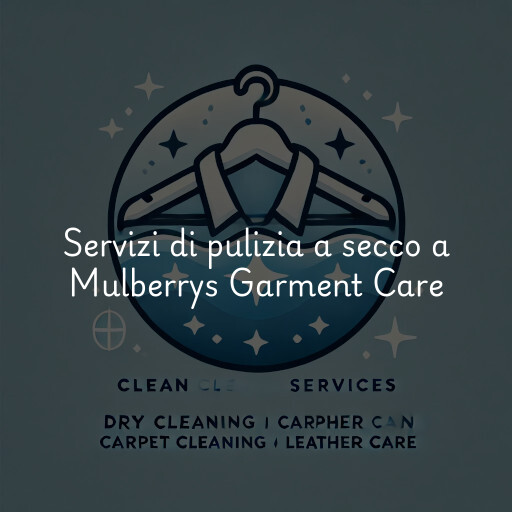 Servizi di pulizia a secco a Mulberrys Garment Care