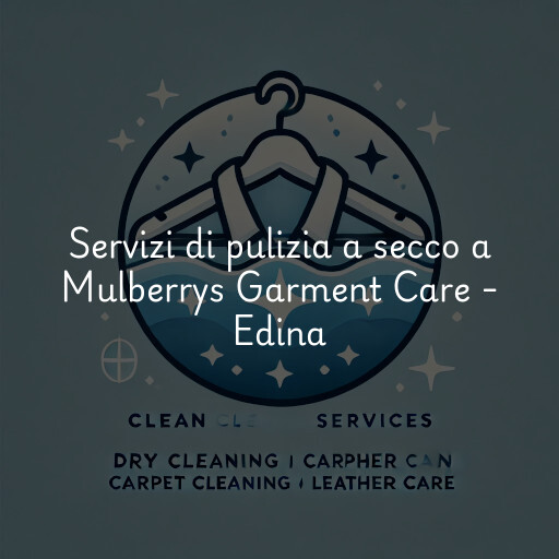 Servizi di pulizia a secco a Mulberrys Garment Care - Edina