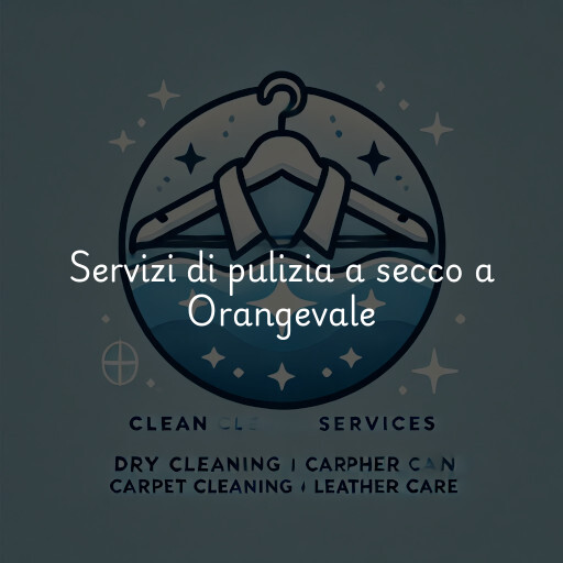 Servizi di pulizia a secco a Orangevale