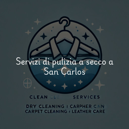 Servizi di pulizia a secco a San Carlos