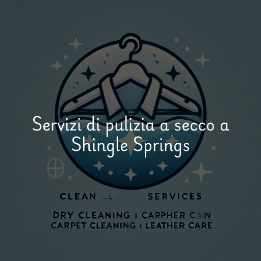 Servizi di pulizia a secco a Shingle Springs