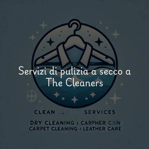 Servizi di pulizia a secco a The Cleaners